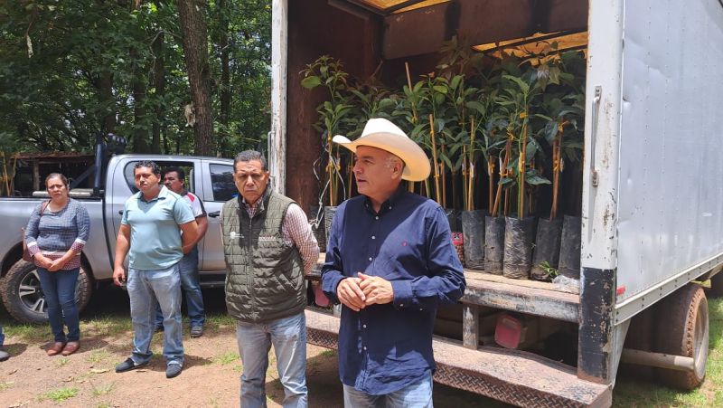 RIGOBERTO LÓPEZ RIVERA APOYA A PRODUCTORES DEL CAMPO CON LA ENTREGA DE 500 PLANTAS DE AGUACATE